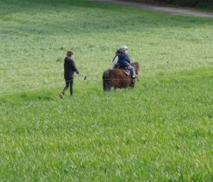 Trennungsunterhalt, Geschiedenenunterhalt, Familienunterhalt